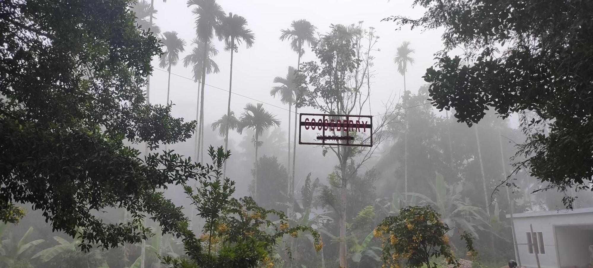 Gooseberry Family Retreats - Wayanad By Karapuzha Resorts Meenangadi Exterior foto